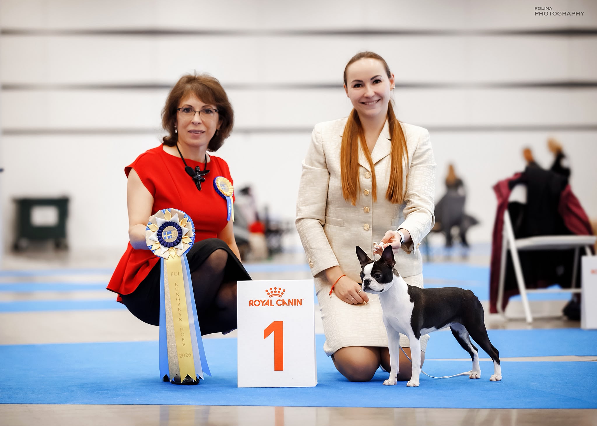 AT Team Enigmatic Estelle - European Hope 2026 & BOB Puppy